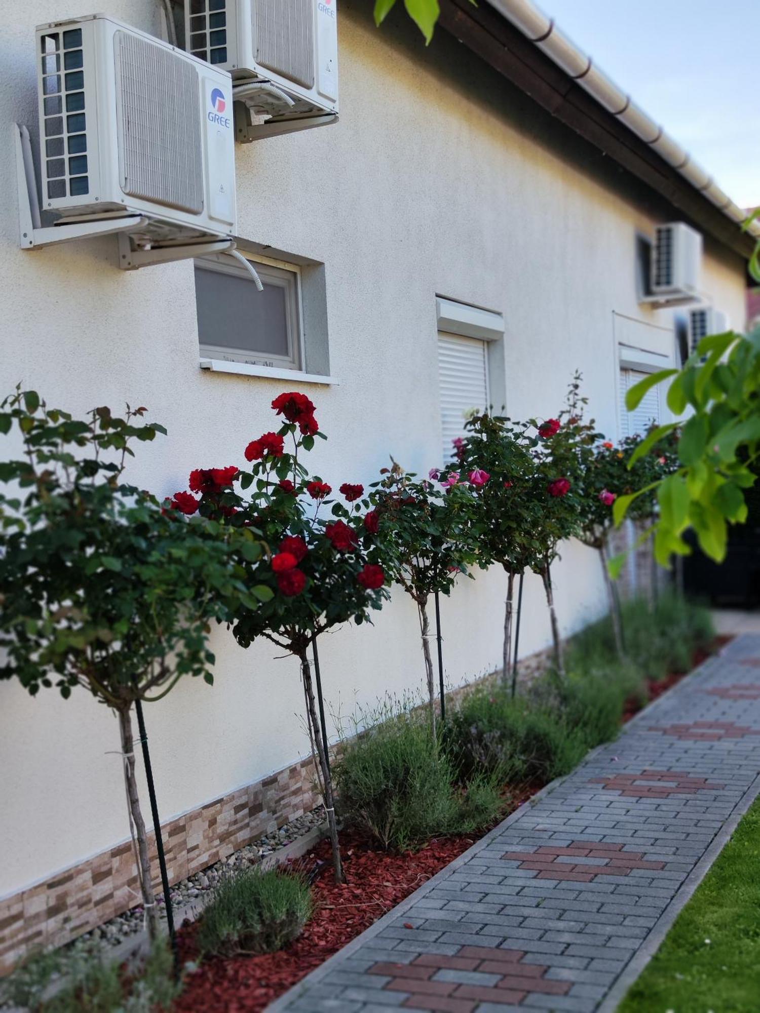 Havasi Vendeghaz Apartment Gyenesdias Bagian luar foto