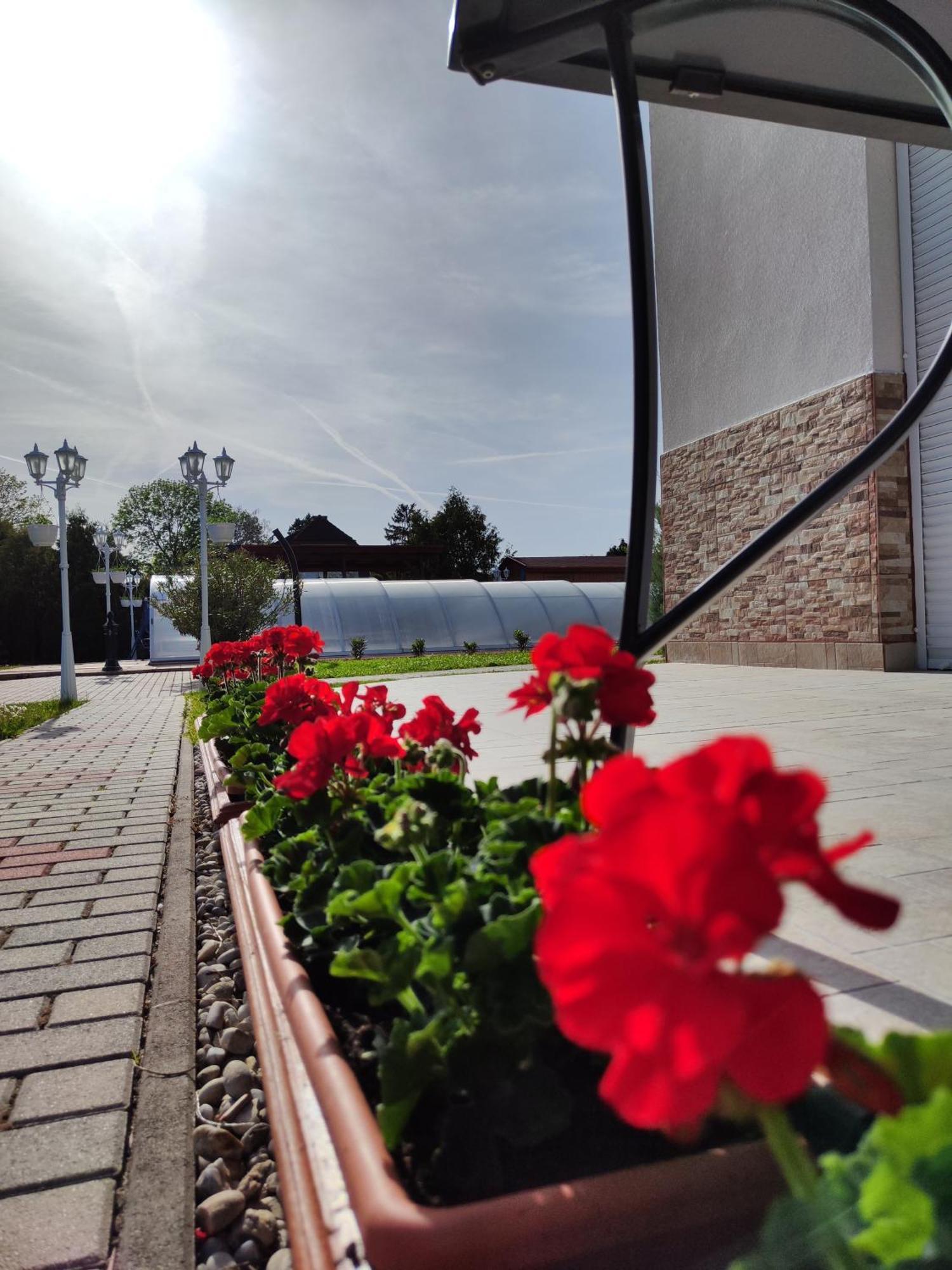 Havasi Vendeghaz Apartment Gyenesdias Bagian luar foto