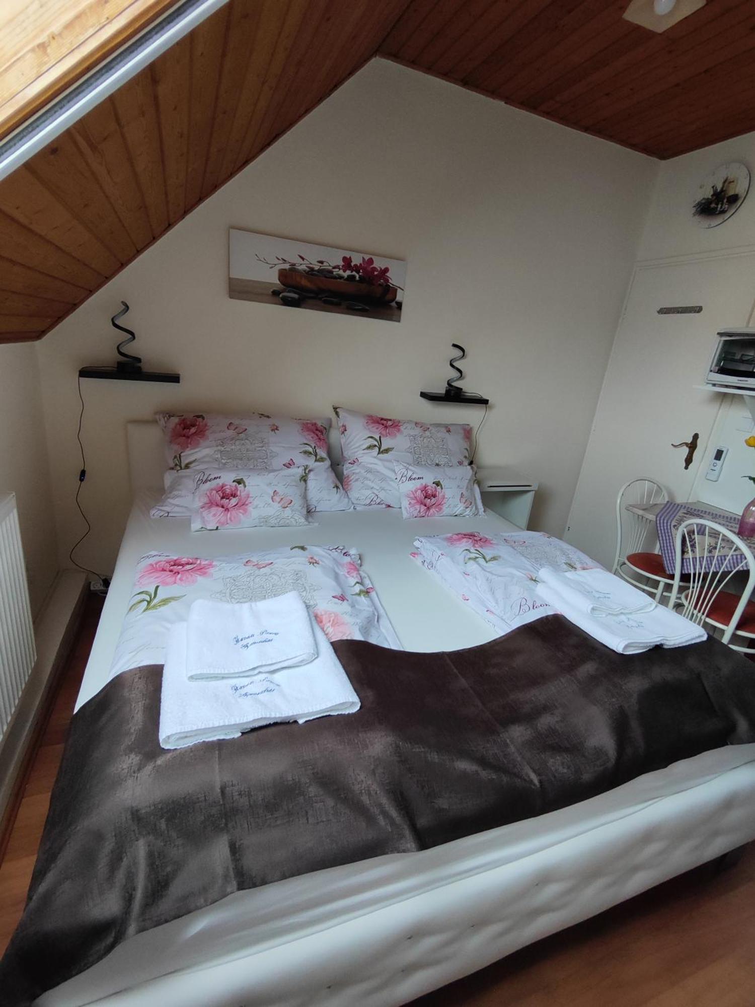 Havasi Vendeghaz Apartment Gyenesdias Bagian luar foto