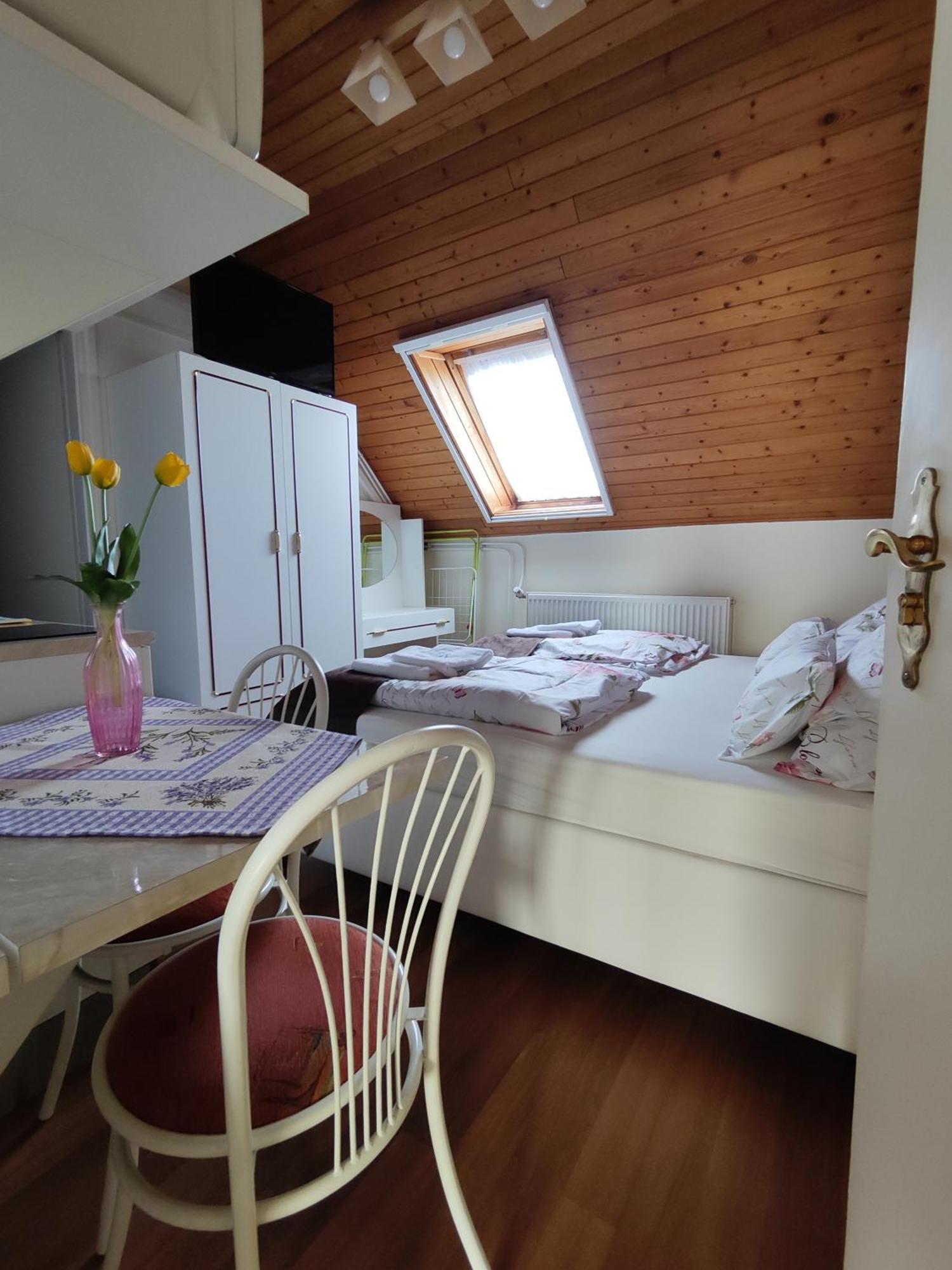 Havasi Vendeghaz Apartment Gyenesdias Bagian luar foto