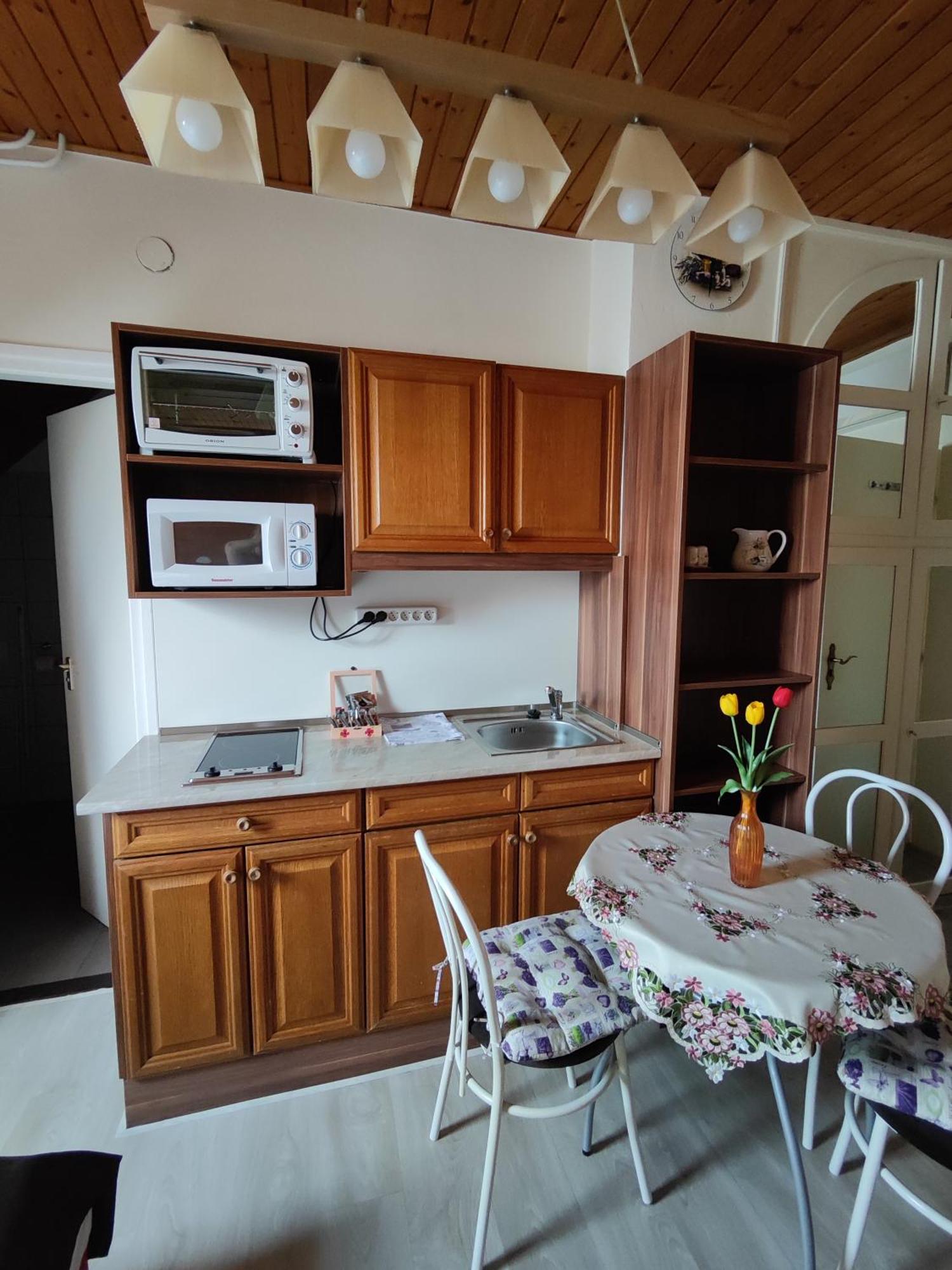 Havasi Vendeghaz Apartment Gyenesdias Bagian luar foto