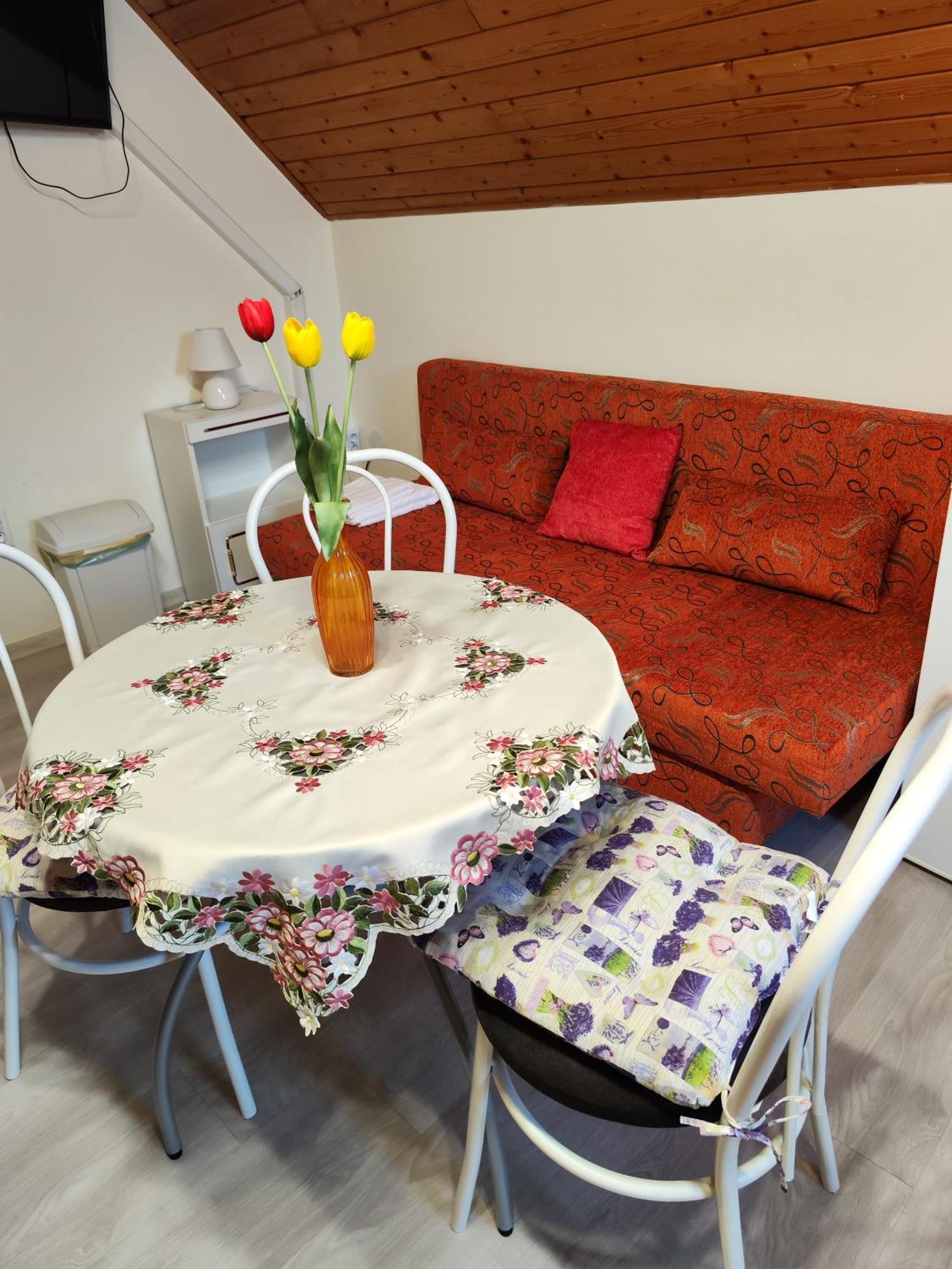 Havasi Vendeghaz Apartment Gyenesdias Bagian luar foto