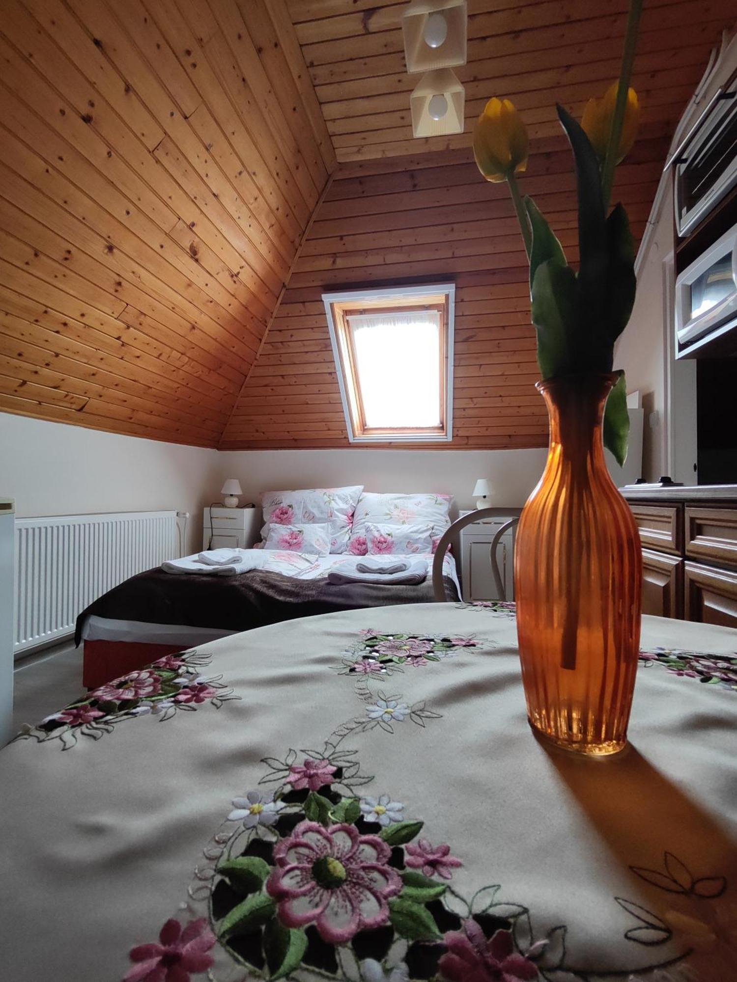 Havasi Vendeghaz Apartment Gyenesdias Bagian luar foto